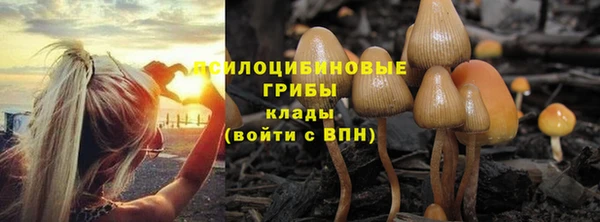 мяу мяу мука Балабаново