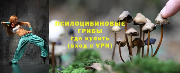 эйфоретик Балахна