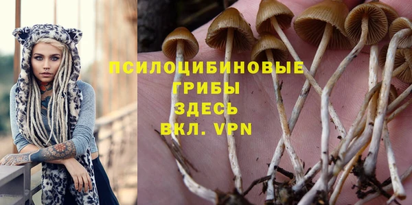 не бодяженный Баксан