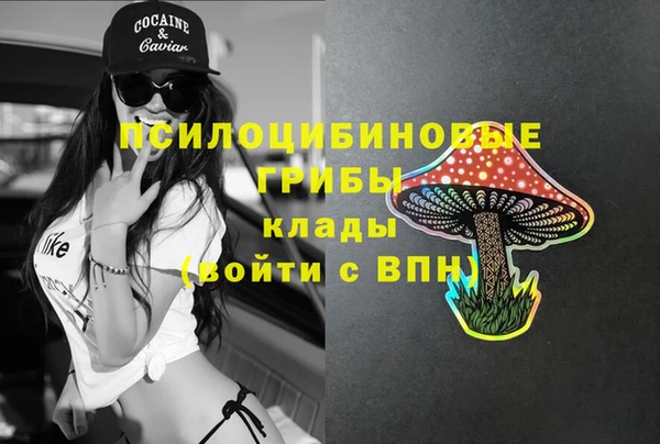 мяу мяу мука Балабаново